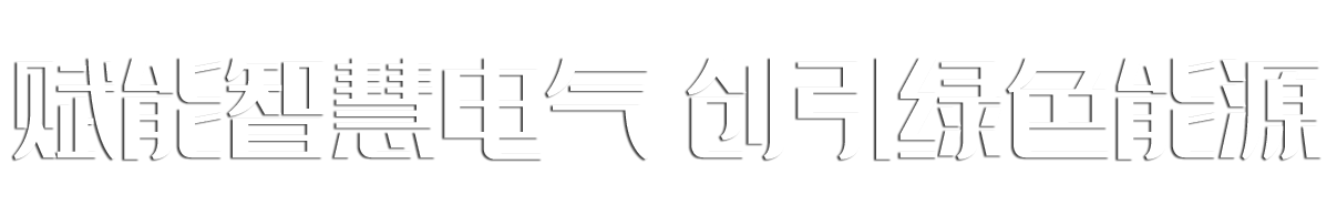 山東魯瑞電力集團(tuán)有限公司